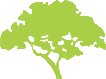 ZelenoDrvo Logo